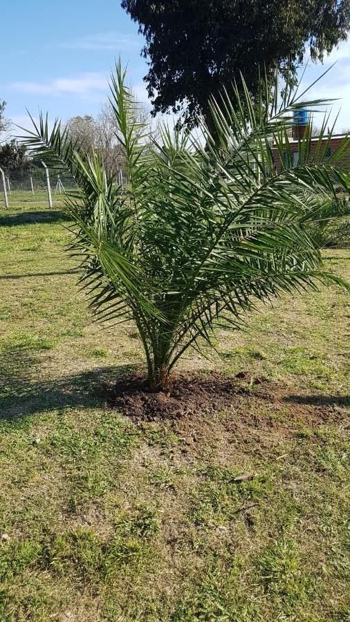 Terrabox Apart De Contenedores Olivera Экстерьер фото